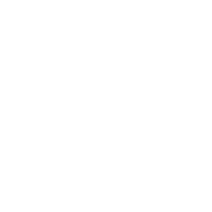 Logo van de finanseurs: experts in geldzalken
